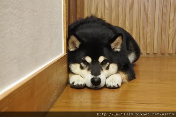 町家咖啡 (15).jpg