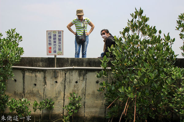 IMG_0806.jpg IMG_0806.jpg