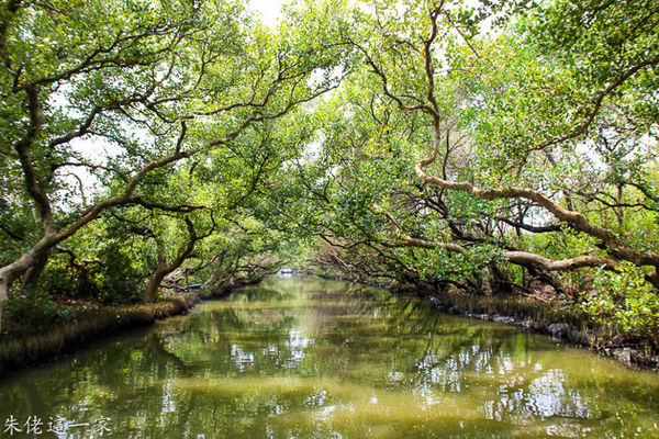 IMG_0778.jpg IMG_0778.jpg