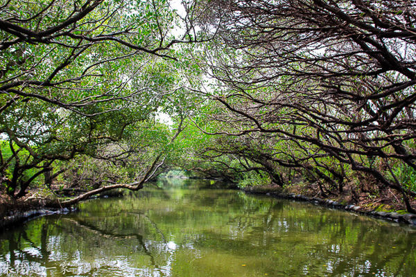 IMG_0795.jpg IMG_0795.jpg