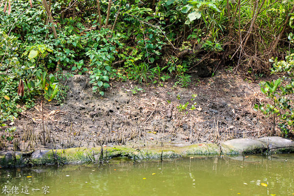 IMG_0727.jpg IMG_0727.jpg