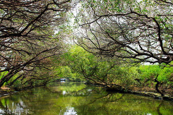 IMG_0746.jpg IMG_0746.jpg