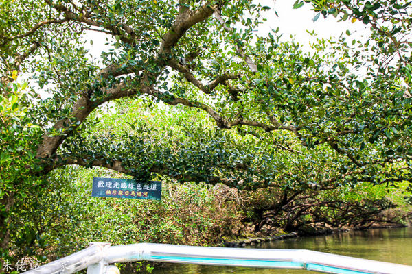 IMG_0729.jpg IMG_0729.jpg