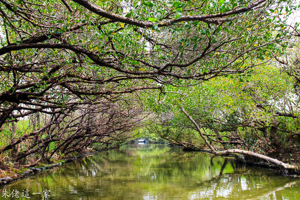 IMG_0743.jpg IMG_0743.jpg