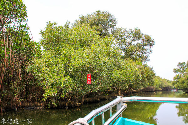 IMG_0715.jpg IMG_0715.jpg