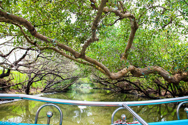 IMG_0797.jpg IMG_0797.jpg