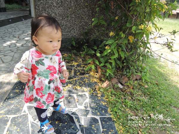 2018-4-29陽光國小 (5).jpg