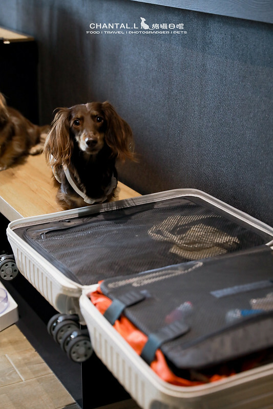 1J6A7584-2拷貝 拷貝