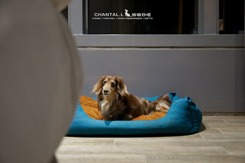 1J6A8017-2拷貝 拷貝