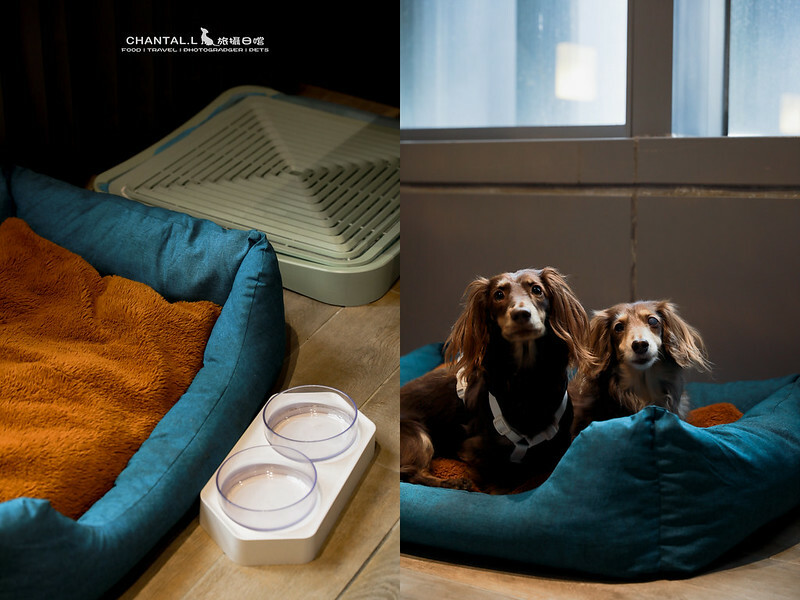 1J6A7535-2拷貝 拷貝 2