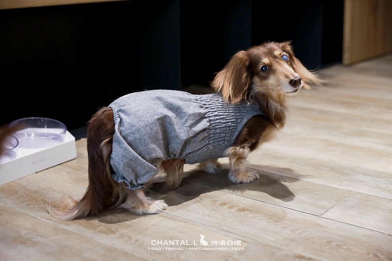 1J6A7629-2拷貝 拷貝