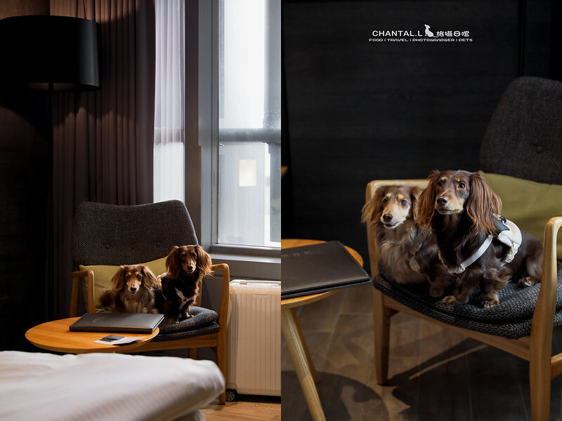 1J6A7565-2拷貝 拷貝 2