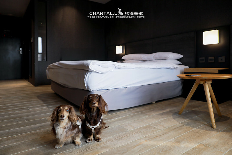 1J6A7589-2拷貝 拷貝