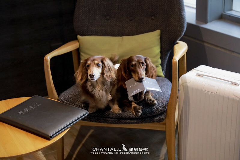 1J6A7552-2拷貝 拷貝