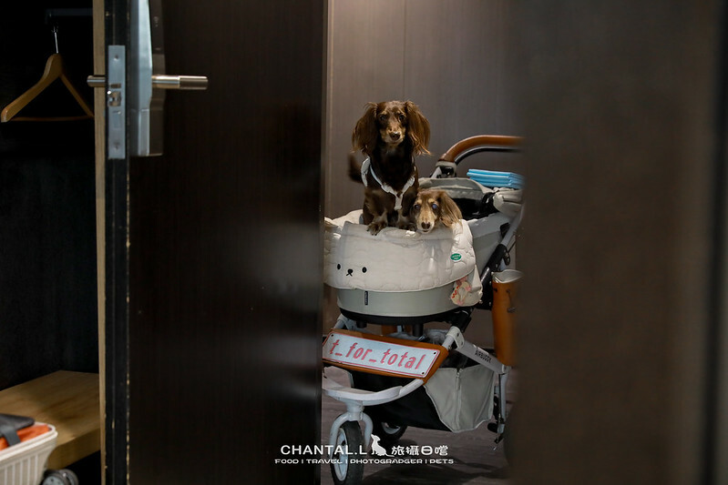 1J6A7608-2拷貝 拷貝