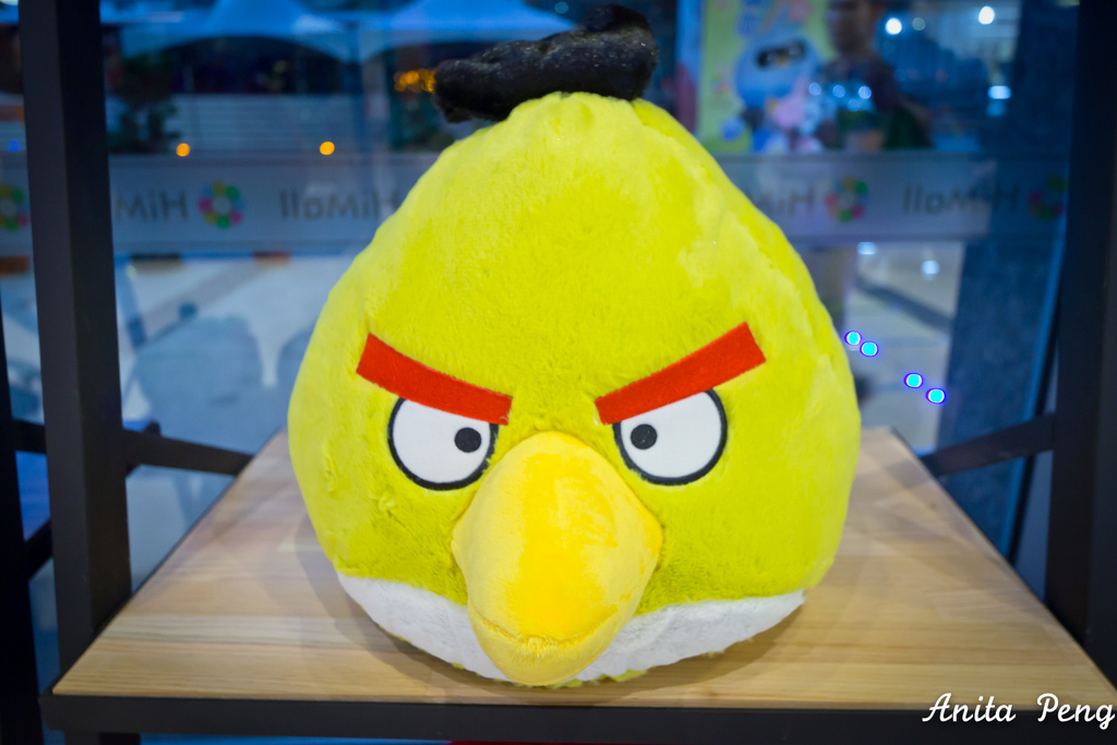 IMG_6407.jpg IMG_6407.jpg