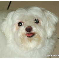 前往 龜毛麗 的 styleMe 個人頁