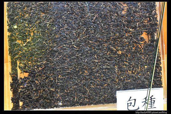20160402北市觀音包種茶研發推廣中心10