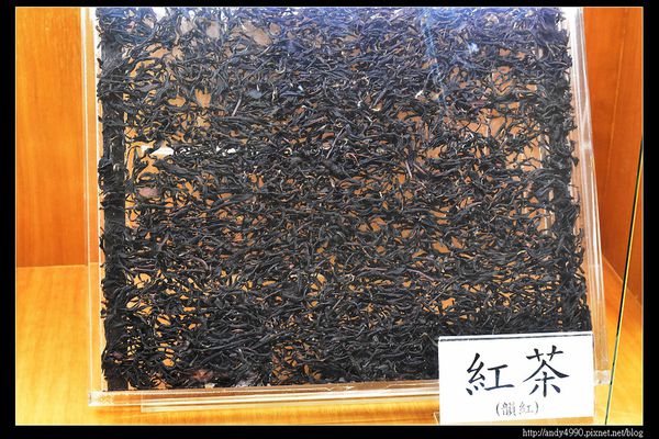 20160402北市觀音包種茶研發推廣中心7