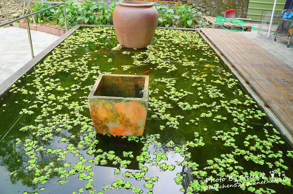 【宜蘭-冬山】冬山金珠蔥油餅→鴨肉送→龍座咖啡、輕食、下午茶★宜蘭/宜蘭輕旅行/冬山景點/冬山景觀餐廳/食尚玩家宜蘭/宜蘭美食