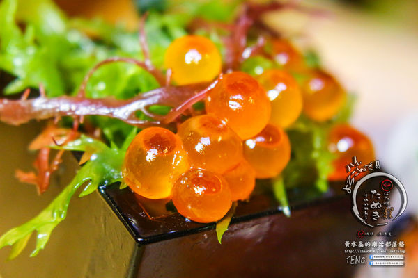 狸爐端燒　日式料理│北捷/中山站(正統日本爐端燒，帶你一秒到日本)