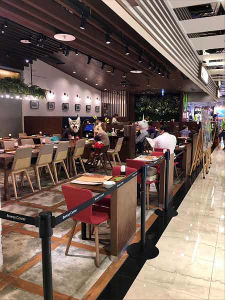 ［信義區 捷運市政府站]Mokuola夏威夷日式鬆餅 夏威夷熱帶風味鬆餅 鹽味醬雞肉組合