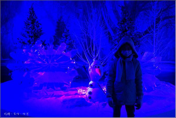 FROZEN17.jpg FROZEN17.jpg