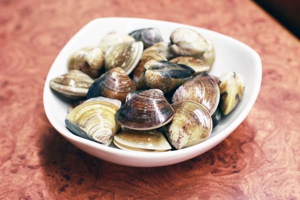 【新店餐廳】六六六小火鍋-堅持熬煮的獨特自製香菇湯頭