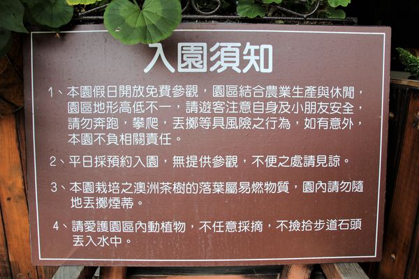 29號花園:【南投市景點】29號花園咖啡~八卦山139線道景觀餐廳/牧草餵馬/假日限定/澳洲茶樹迷宮/多肉植物