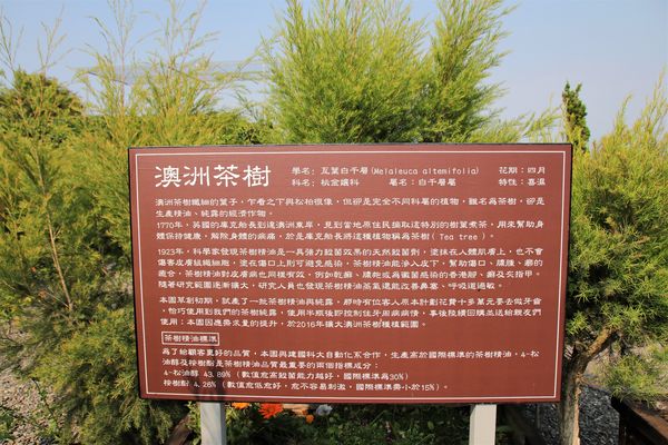 29號花園:【南投市景點】29號花園咖啡~八卦山139線道景觀餐廳/牧草餵馬/假日限定/澳洲茶樹迷宮/多肉植物