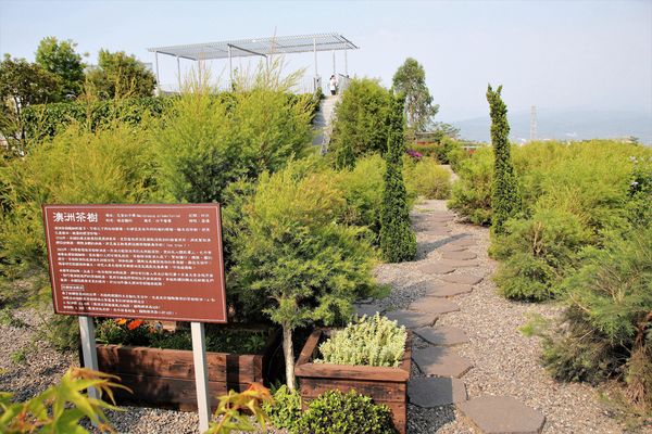 29號花園:【南投市景點】29號花園咖啡~八卦山139線道景觀餐廳/牧草餵馬/假日限定/澳洲茶樹迷宮/多肉植物