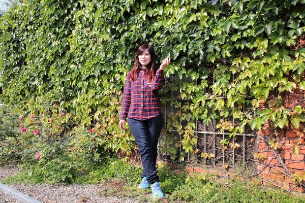 29號花園:【南投市景點】29號花園咖啡~八卦山139線道景觀餐廳/牧草餵馬/假日限定/澳洲茶樹迷宮/多肉植物