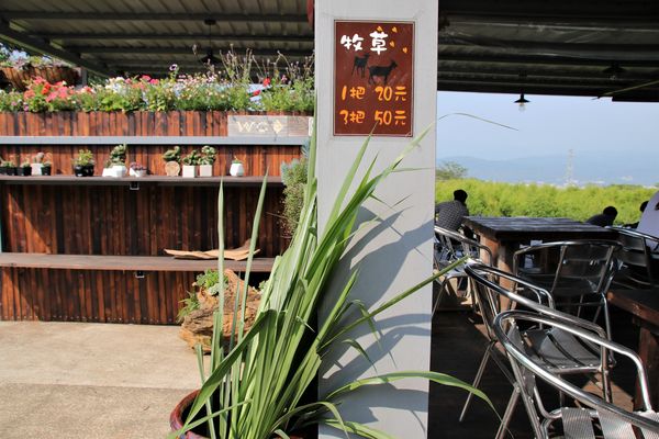 29號花園:【南投市景點】29號花園咖啡~八卦山139線道景觀餐廳/牧草餵馬/假日限定/澳洲茶樹迷宮/多肉植物
