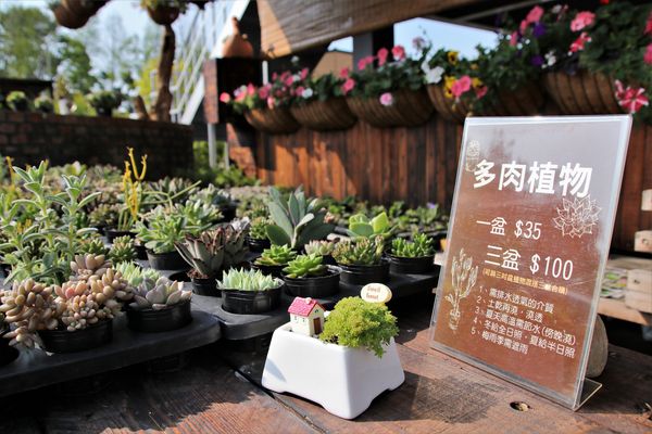 29號花園:【南投市景點】29號花園咖啡~八卦山139線道景觀餐廳/牧草餵馬/假日限定/澳洲茶樹迷宮/多肉植物