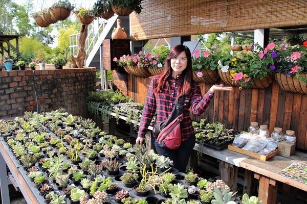 29號花園:【南投市景點】29號花園咖啡~八卦山139線道景觀餐廳/牧草餵馬/假日限定/澳洲茶樹迷宮/多肉植物