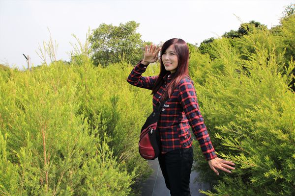 29號花園:【南投市景點】29號花園咖啡~八卦山139線道景觀餐廳/牧草餵馬/假日限定/澳洲茶樹迷宮/多肉植物