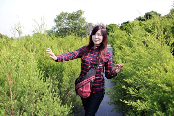 29號花園:【南投市景點】29號花園咖啡~八卦山139線道景觀餐廳/牧草餵馬/假日限定/澳洲茶樹迷宮/多肉植物