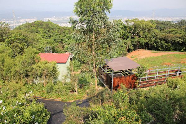 29號花園:【南投市景點】29號花園咖啡~八卦山139線道景觀餐廳/牧草餵馬/假日限定/澳洲茶樹迷宮/多肉植物