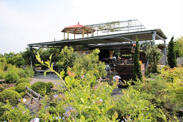 29號花園:【南投市景點】29號花園咖啡~八卦山139線道景觀餐廳/牧草餵馬/假日限定/澳洲茶樹迷宮/多肉植物