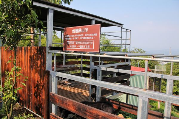 29號花園:【南投市景點】29號花園咖啡~八卦山139線道景觀餐廳/牧草餵馬/假日限定/澳洲茶樹迷宮/多肉植物