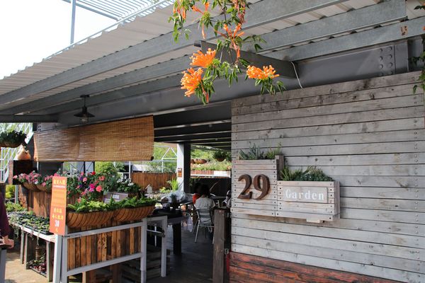 29號花園:【南投市景點】29號花園咖啡~八卦山139線道景觀餐廳/牧草餵馬/假日限定/澳洲茶樹迷宮/多肉植物