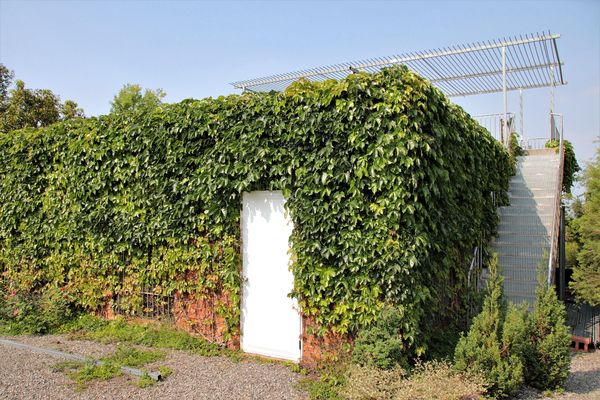 29號花園:【南投市景點】29號花園咖啡~八卦山139線道景觀餐廳/牧草餵馬/假日限定/澳洲茶樹迷宮/多肉植物