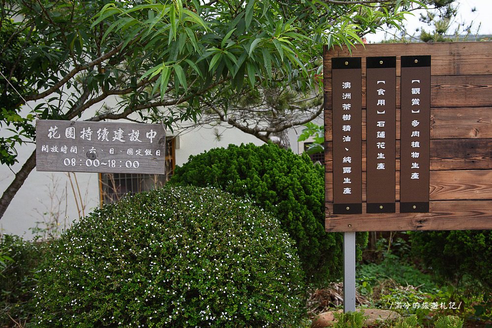 南投市景點》29號花園 南投139縣道景觀咖啡廳 離天空最近的茶樹林園 - 滿分的旅遊札記