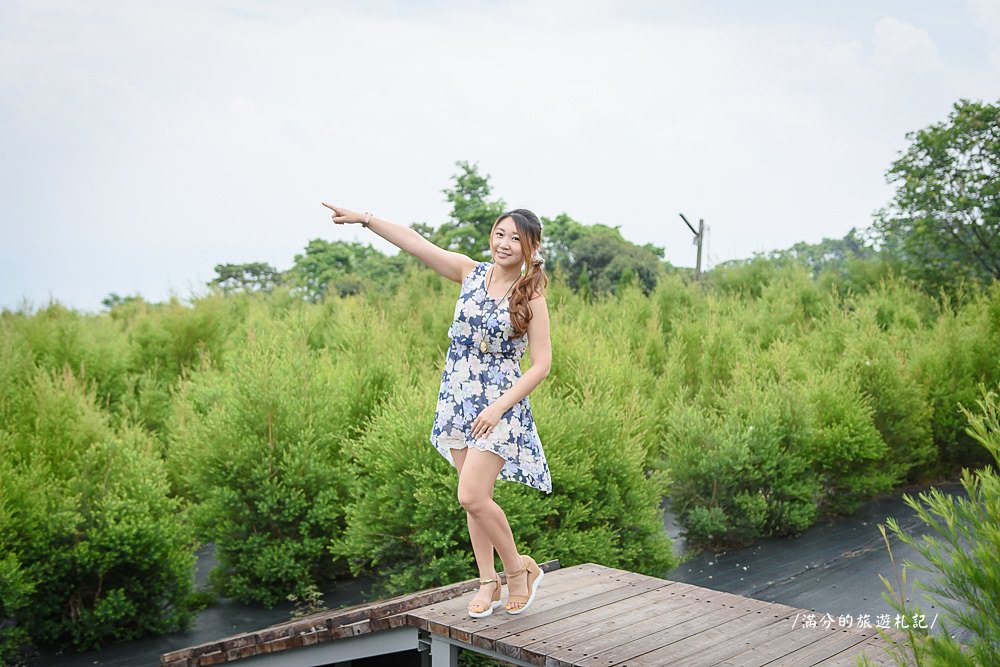 南投市景點》29號花園 南投139縣道景觀咖啡廳 離天空最近的茶樹林園 - 滿分的旅遊札記