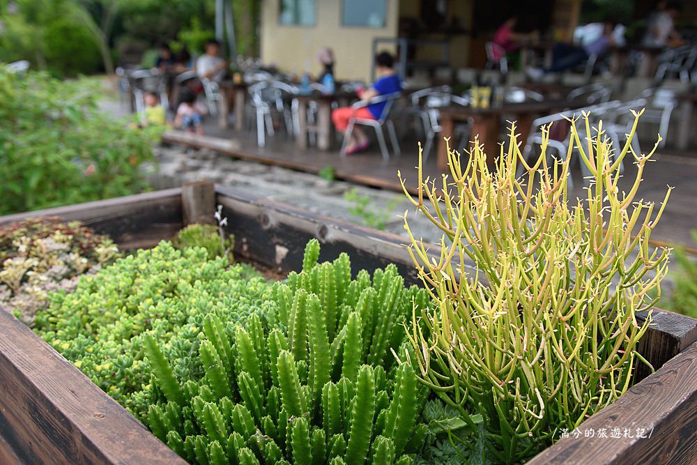 南投市景點》29號花園 南投139縣道景觀咖啡廳 離天空最近的茶樹林園 - 滿分的旅遊札記