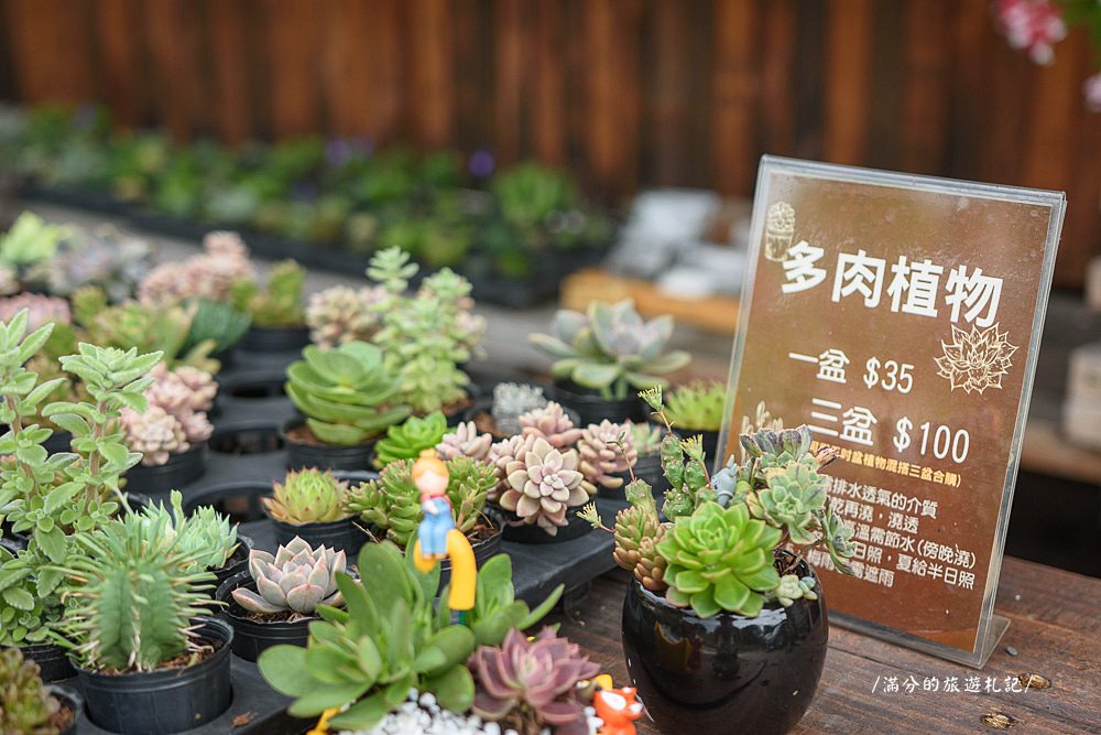 南投市景點》29號花園 南投139縣道景觀咖啡廳 離天空最近的茶樹林園 - 滿分的旅遊札記