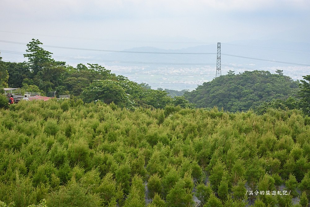 南投市景點》29號花園 南投139縣道景觀咖啡廳 離天空最近的茶樹林園 - 滿分的旅遊札記