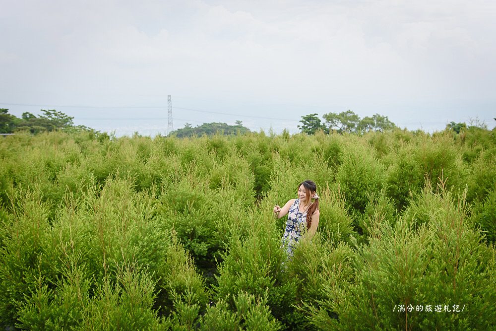 南投市景點》29號花園 南投139縣道景觀咖啡廳 離天空最近的茶樹林園 - 滿分的旅遊札記