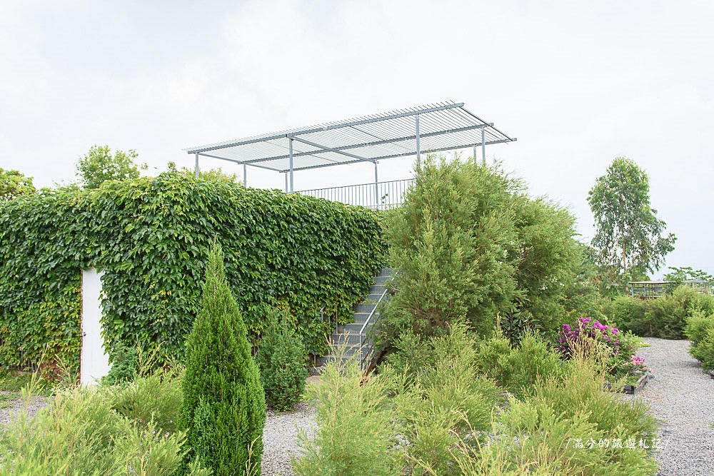 南投市景點》29號花園 南投139縣道景觀咖啡廳 離天空最近的茶樹林園 - 滿分的旅遊札記