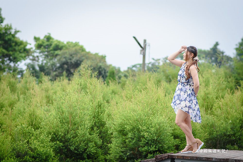 南投市景點》29號花園 南投139縣道景觀咖啡廳 離天空最近的茶樹林園 - 滿分的旅遊札記